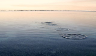 The Healing Power of Being Seen