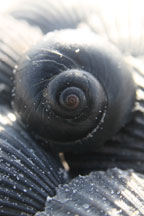 Healing Spiral